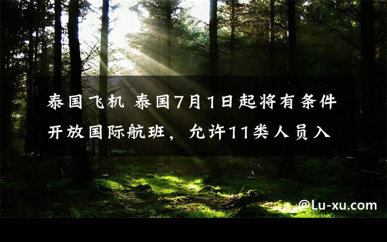 泰国飞机 泰国7月1日起将有条件开放国际航班，允许11类人员入境
