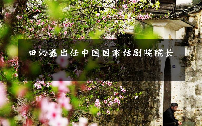 田沁鑫出任中国国家话剧院院长