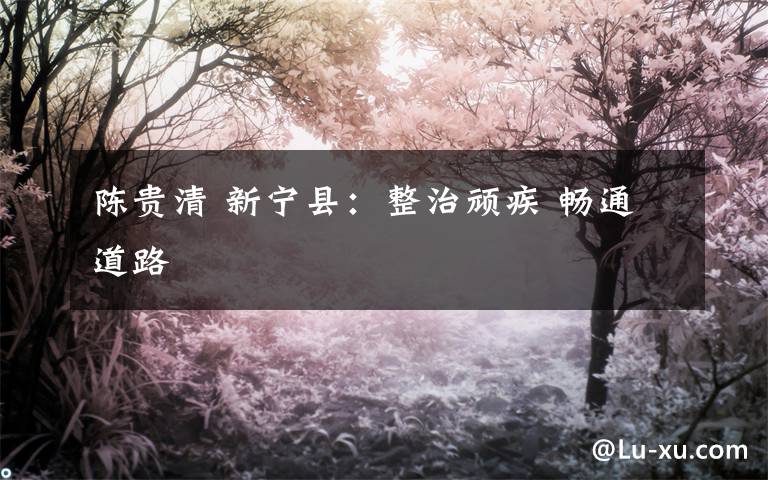 陈贵清 新宁县:整治顽疾 畅通道路