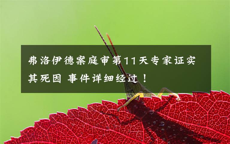 弗洛伊德案庭审第11天专家证实其死因 事件详细经过!