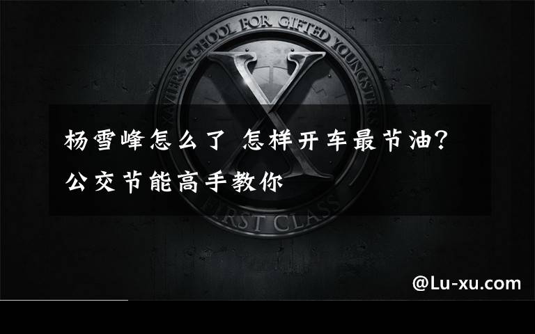 杨雪峰怎么了 怎样开车最节油?公交节能高手教你