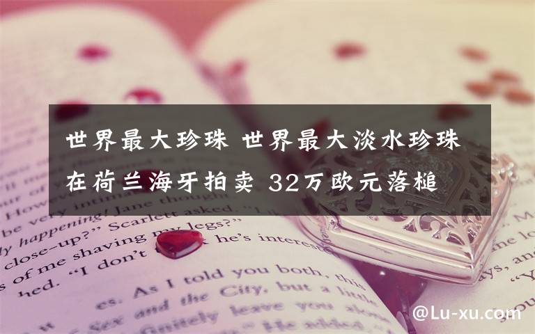 世界最大珍珠 世界最大淡水珍珠在荷兰海牙拍卖 32万欧元落槌