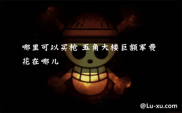 哪里可以买枪 五角大楼巨额军费花在哪儿