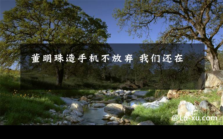  董明珠造手机不放弃 我们还在