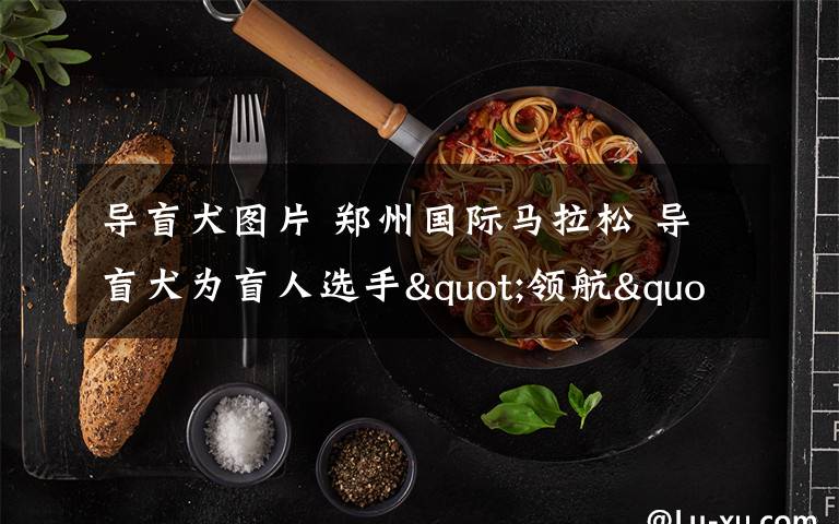 导盲犬图片 郑州国际马拉松 导盲犬为盲人选手"领航"