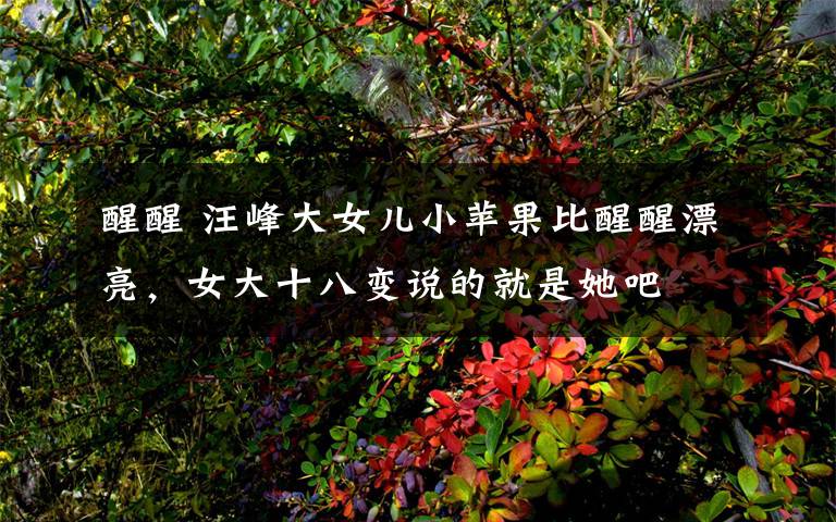 醒醒 汪峰大女儿小苹果比醒醒漂亮,女大十八变说的就是她吧
