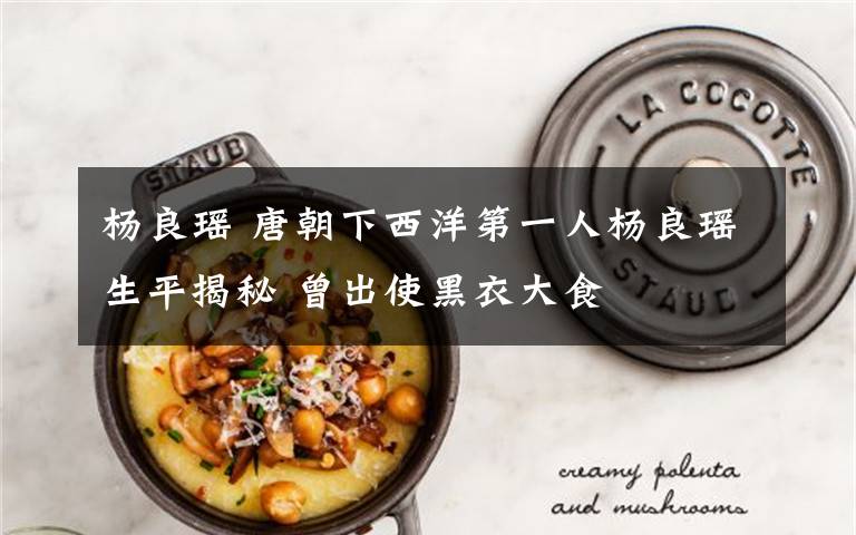 杨良瑶 唐朝下西洋第一人杨良瑶生平揭秘 曾出使黑衣大食