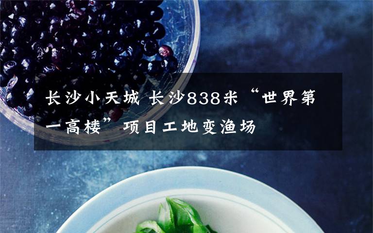 长沙小天城 长沙838米“世界第一高楼”项目工地变渔场