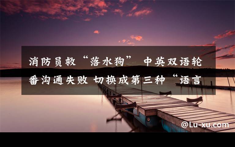 消防员救“落水狗” 中英双语轮番沟通失败 切换成第三种“语言”终成功