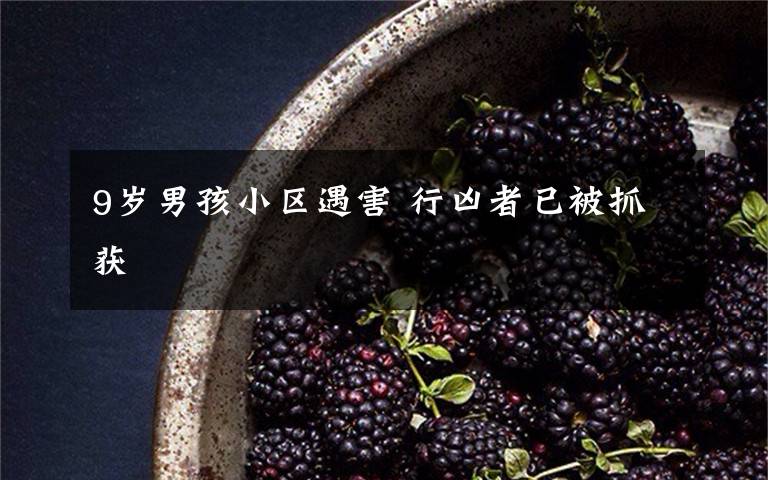 9岁男孩小区遇害 行凶者已被抓获