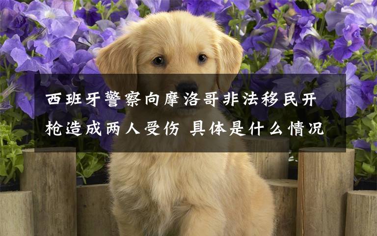 西班牙警察向摩洛哥非法移民开枪造成两人受伤 具体是什么情况?