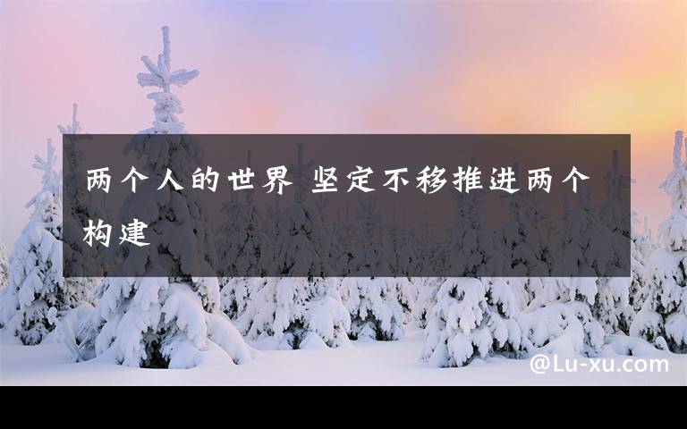 两个人的世界 坚定不移推进两个构建