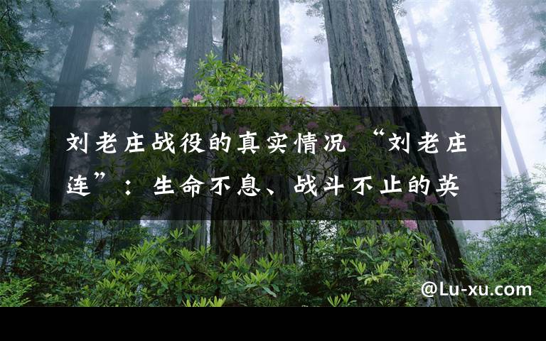 刘老庄战役的真实情况 “刘老庄连”：生命不息、战斗不止的英雄连队