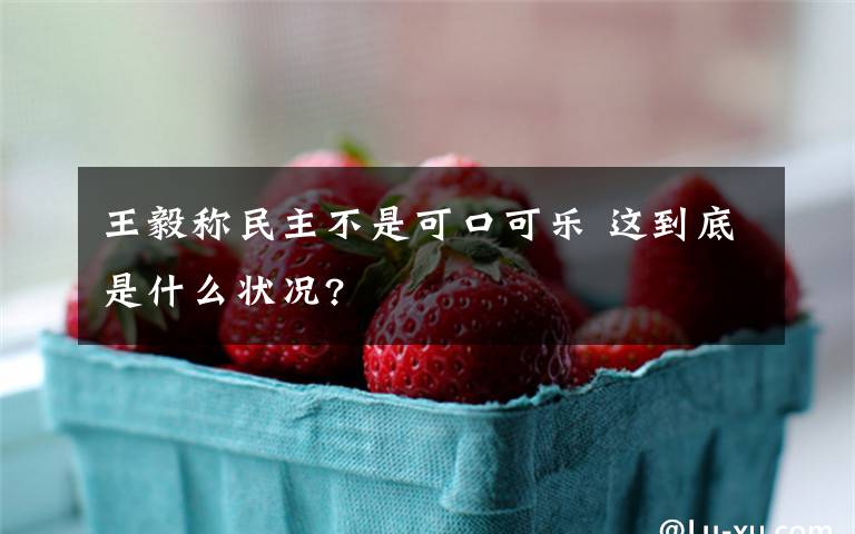 王毅称民主不是可口可乐 这到底是什么状况?