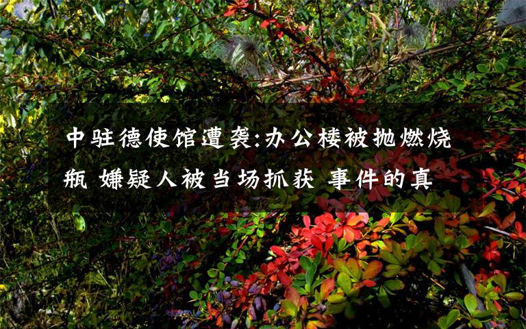 中驻德使馆遭袭:办公楼被抛燃烧瓶 嫌疑人被当场抓获 事件的真相是什么?