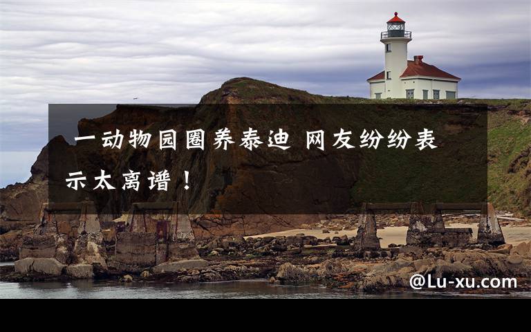一动物园圈养泰迪 网友纷纷表示太离谱!