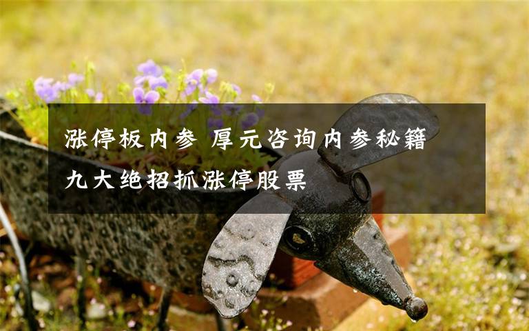 涨停板内参 厚元咨询内参秘籍 九大绝招抓涨停股票