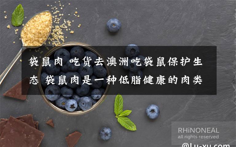 袋鼠肉 吃货去澳洲吃袋鼠保护生态 袋鼠肉是一种低脂健康的肉类