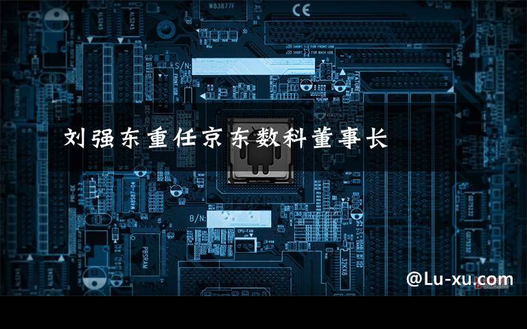 刘强东重任京东数科董事长