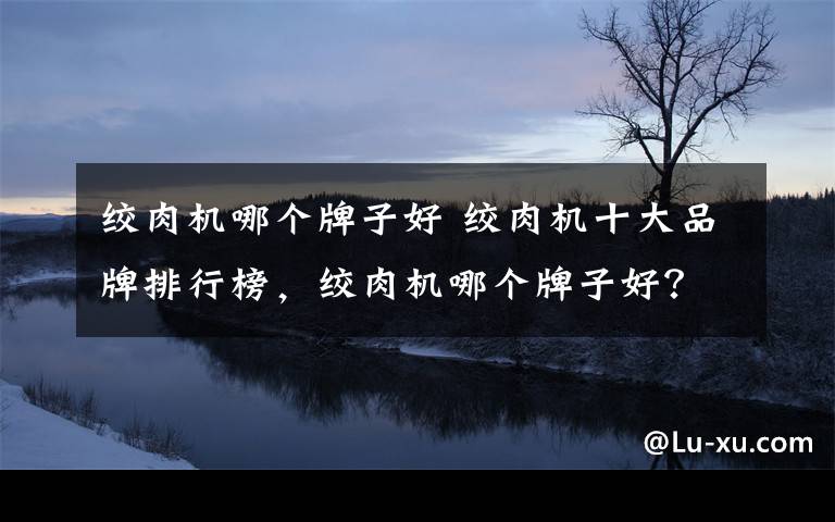 绞肉机哪个牌子好 绞肉机十大品牌排行榜，绞肉机哪个牌子好？