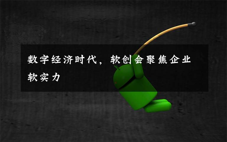 数字经济时代,软创会聚焦企业软实力