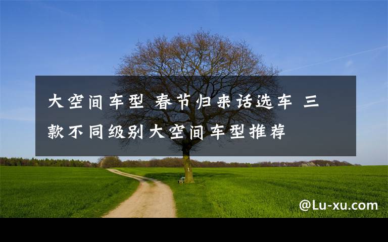 大空间车型 春节归来话选车 三款不同级别大空间车型推荐