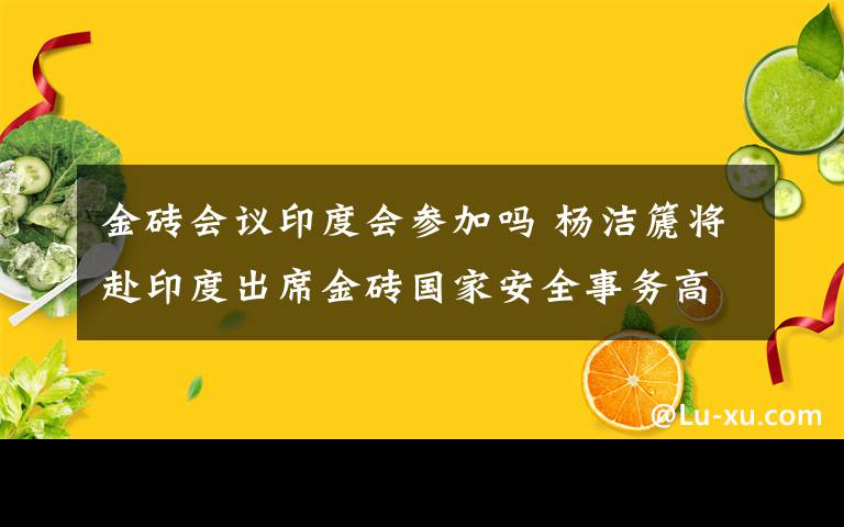 金砖会议印度会参加吗 杨洁篪将赴印度出席金砖国家安全事务高级代表第六次会议