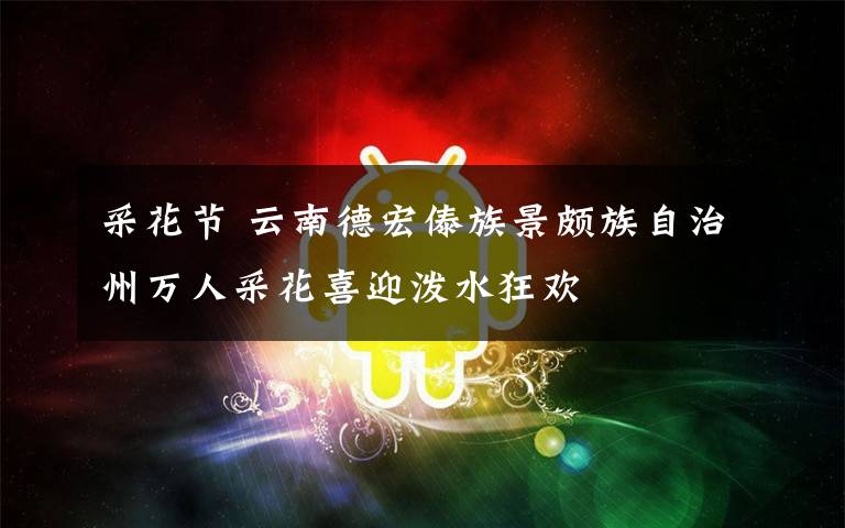 采花节 云南德宏傣族景颇族自治州万人采花喜迎泼水狂欢