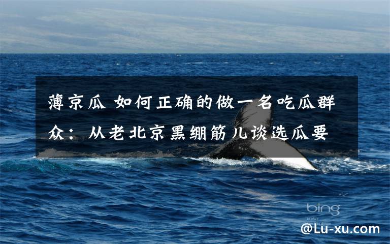 薄京瓜 如何正确的做一名吃瓜群众:从老北京黑绷筋儿谈选瓜要点