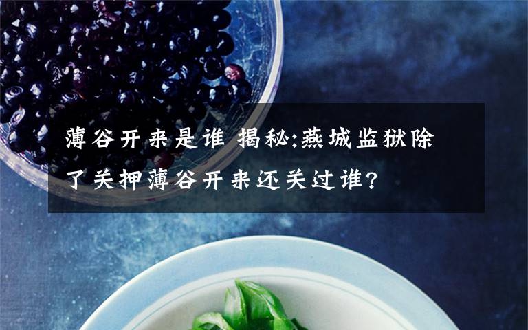 薄谷开来是谁 揭秘:燕城监狱除了关押薄谷开来还关过谁?