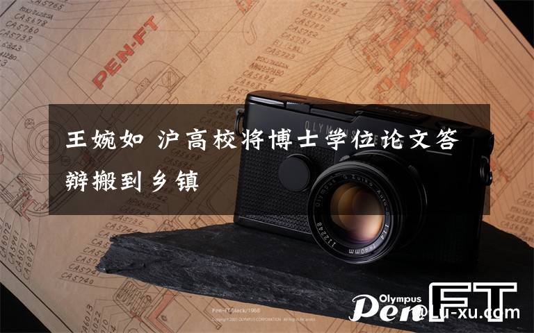 王婉如 沪高校将博士学位论文答辩搬到乡镇