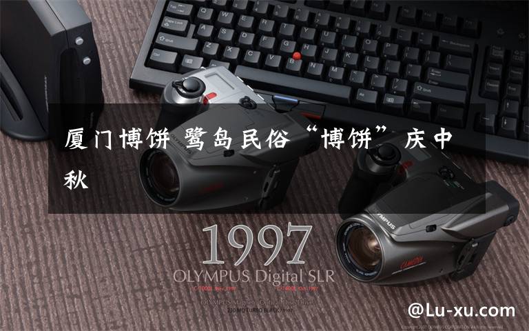 厦门博饼 鹭岛民俗“博饼”庆中秋