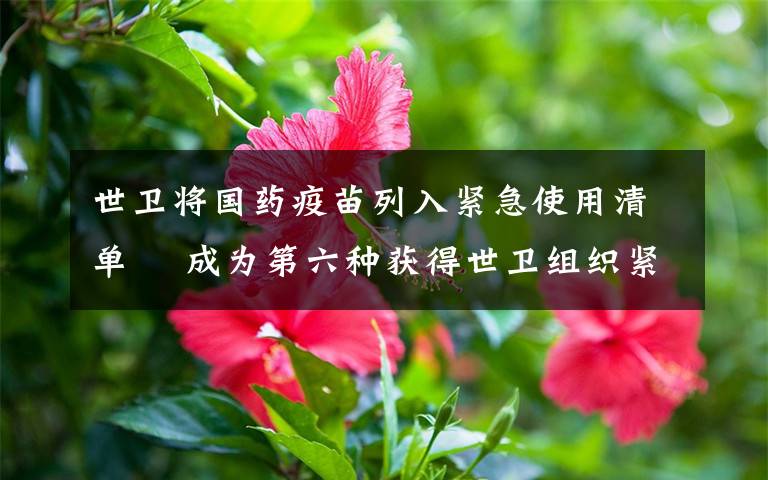 世卫将国药疫苗列入紧急使用清单  成为第六种获得世卫组织紧急使用认证的新冠疫苗 真相到底是怎样的？