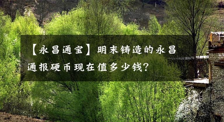 【永昌通宝】明末铸造的永昌通报硬币现在值多少钱？
