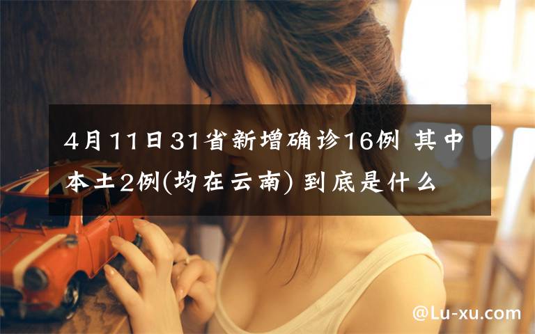 4月11日31省新增确诊16例 其中本土2例(均在云南) 到底是什么状况?