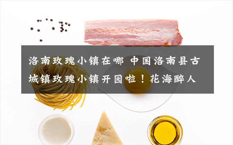 洛南玫瑰小镇在哪 中国洛南县古城镇玫瑰小镇开园啦!花海醉人。