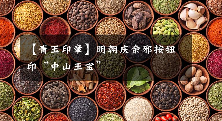 【青玉印章】明朝庆余邪按钮印“中山王宝”