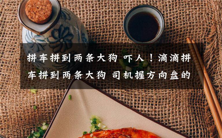 拼车拼到两条大狗 吓人!滴滴拼车拼到两条大狗 司机握方向盘的手都在发抖