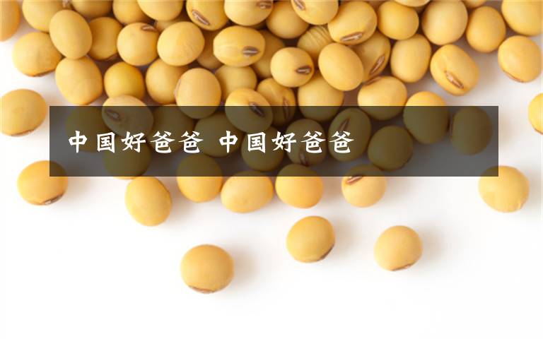 中国好爸爸 中国好爸爸