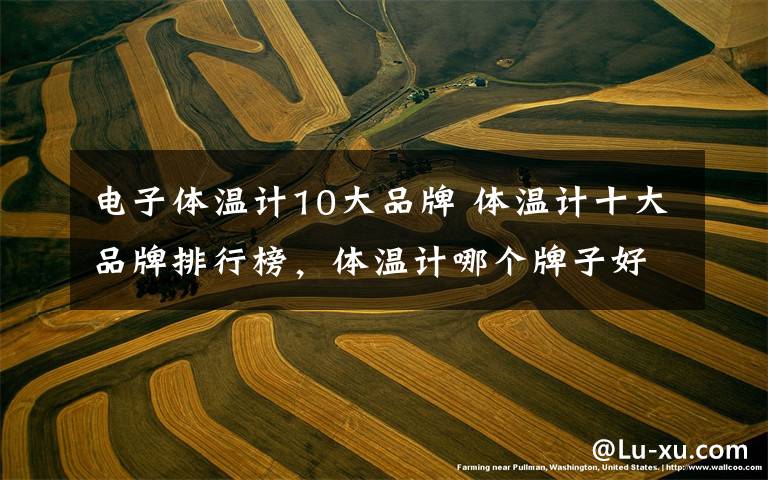 电子体温计10大品牌 体温计十大品牌排行榜,体温计哪个牌子好?