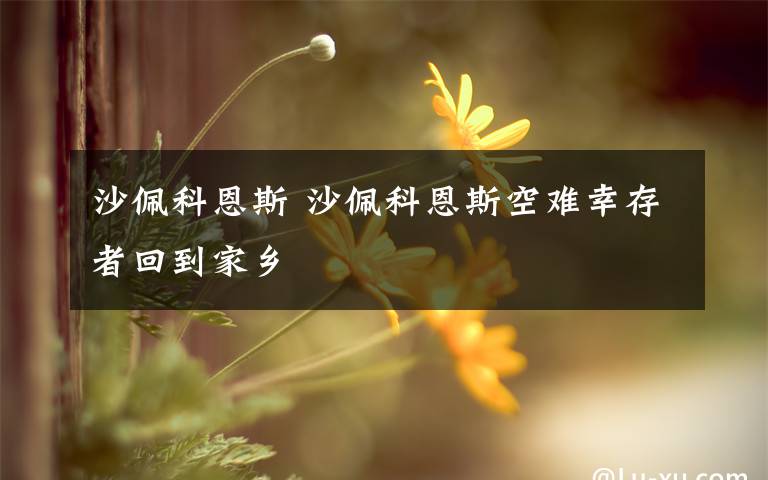 沙佩科恩斯 沙佩科恩斯空难幸存者回到家乡