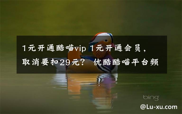 1元开通酷喵vip 1元开通会员,取消要扣29元? 优酷酷喵平台频遭投诉