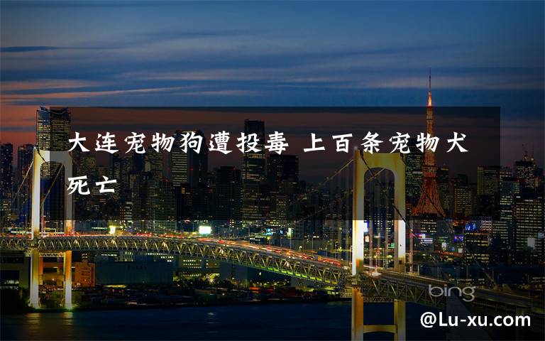 大连宠物狗遭投毒 上百条宠物犬死亡