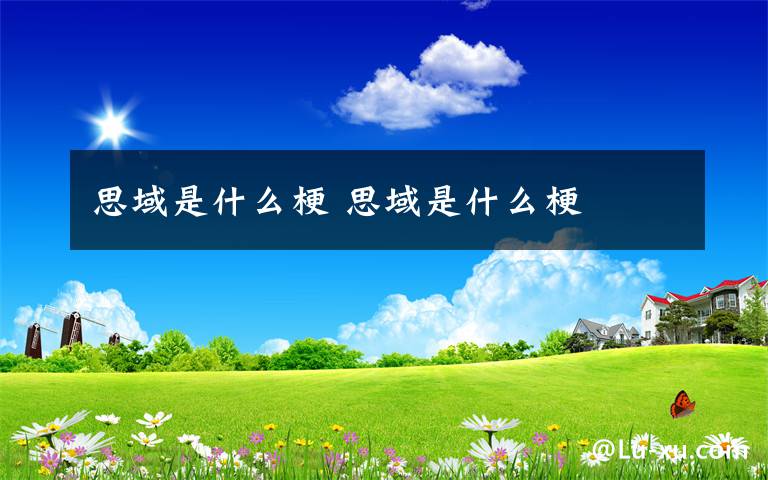 思域是什么梗 思域是什么梗