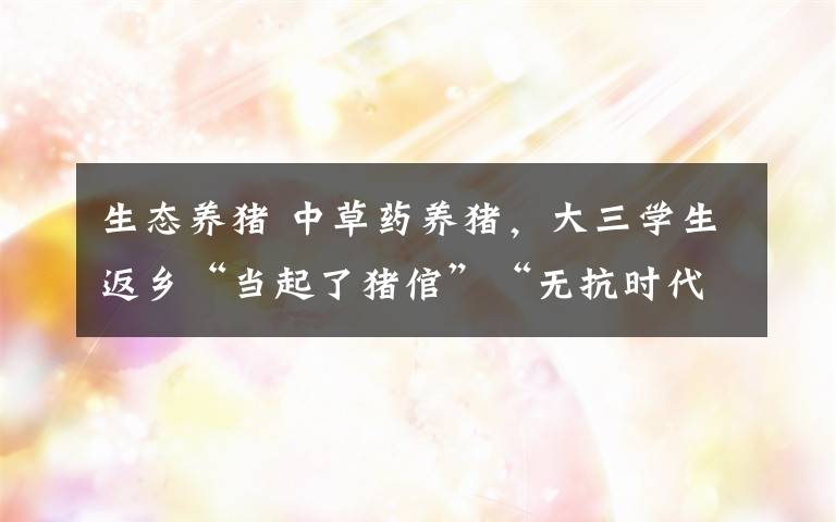 生态养猪 中草药养猪,大三学生返乡“当起了猪倌”“无抗时代”生态养殖大有可为
