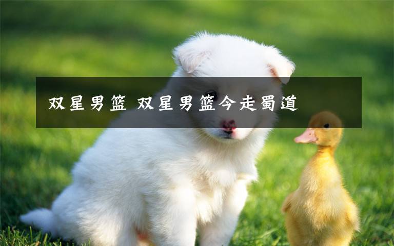 双星男篮 双星男篮今走蜀道