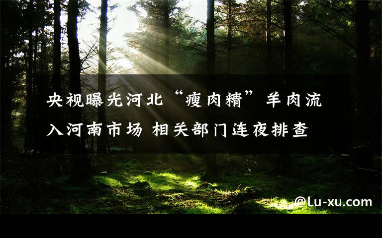 央视曝光河北“瘦肉精”羊肉流入河南市场 相关部门连夜排查 到底是什么状况?