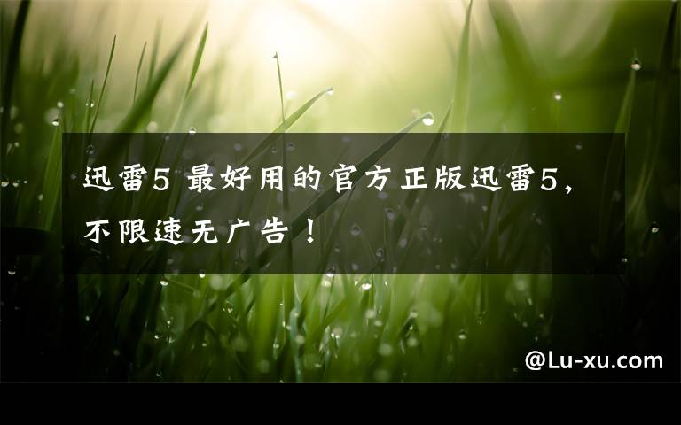 迅雷5 最好用的官方正版迅雷5,不限速无广告!