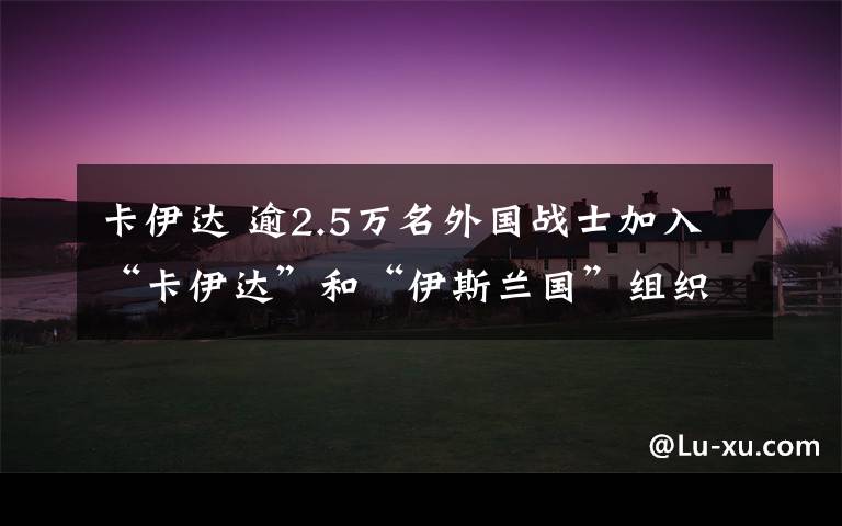 卡伊达 逾2.5万名外国战士加入“卡伊达”和“伊斯兰国”组织