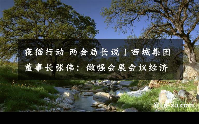 夜猫行动 两会局长说丨西城集团董事长张伟:做强会展会议经济助推四个中心建设